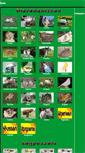 Mobile Screenshot of dierenkennis.be